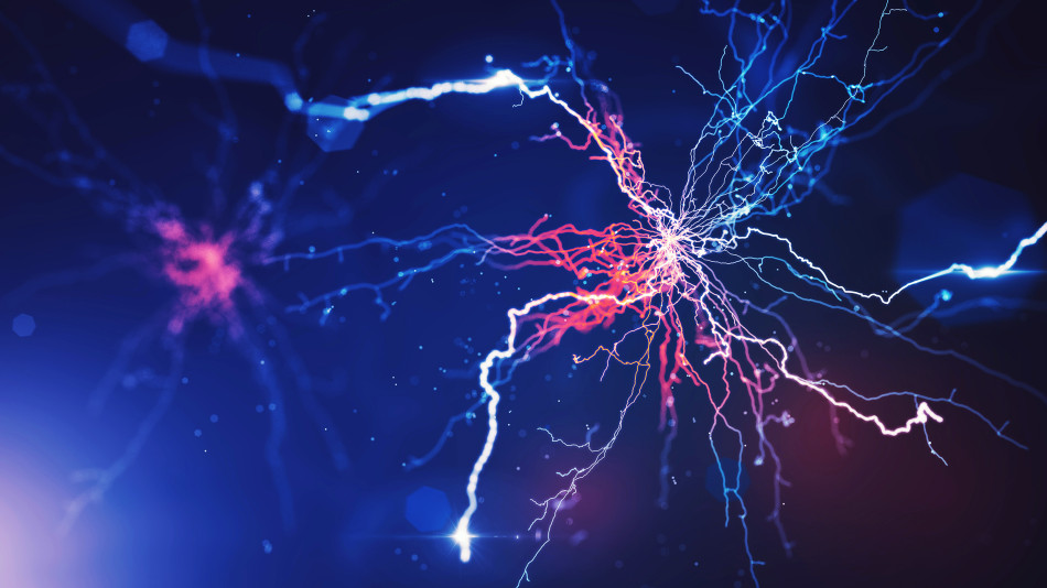 transformative network