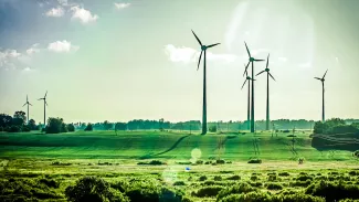 wind turbines in a field